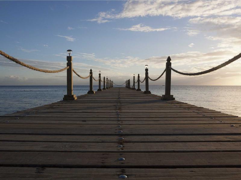 版权卫士<br>原创保护与内容去重检测